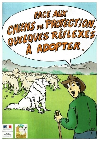 Bande dessinée Patou des Pyrénées