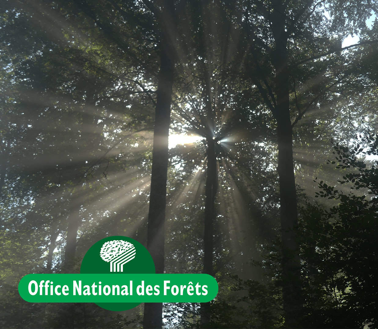 ONF Office National des Forêts